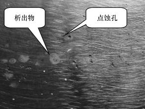 正佳乐鱼官方网站-乐鱼leyu（中国）